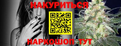 сатива Коммунар