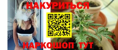 сатива Коммунар