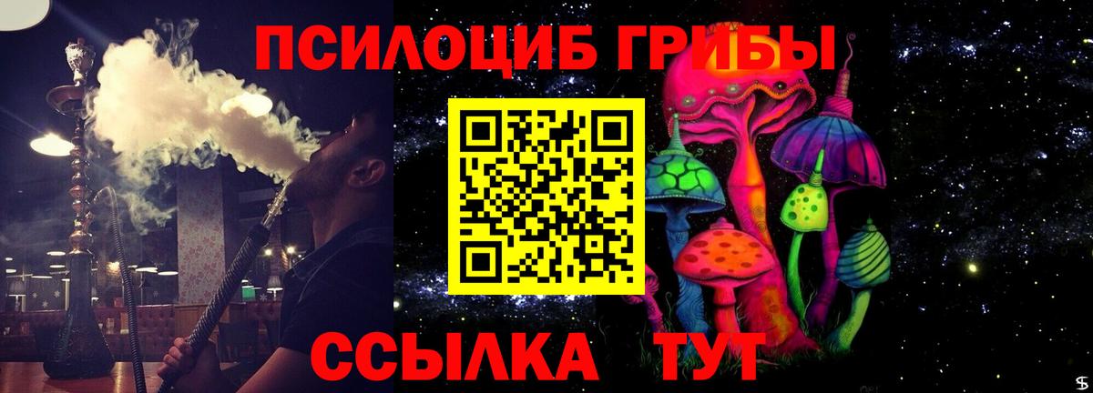 Псилоцибиновые грибы Cubensis Феодосия